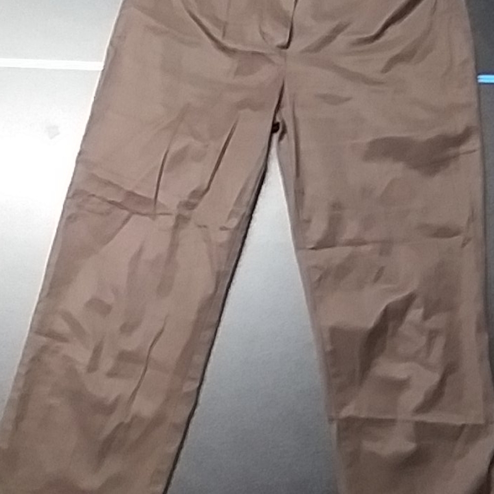 Dress pants